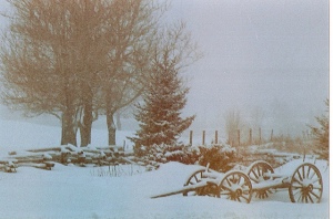 Wagon in snow